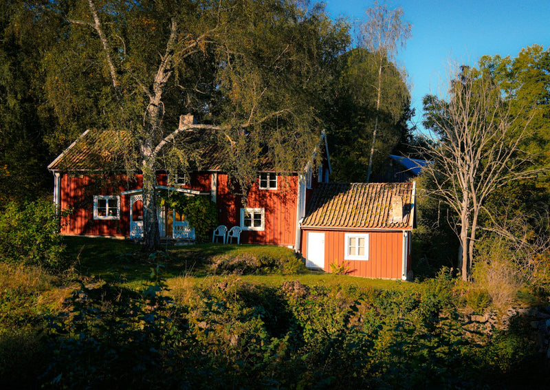 Mögel i hus – upptäck, förebygg och skydda ditt hem mot mögel